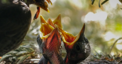 Incremento salarial del 2%