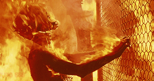 Otra ola de calor y l@s carter@s sin medidas preventivas