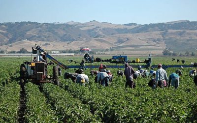 CGT RECLAMA CONTRATACIÓN Y CAPACITACIÓN PARA AFRONTAR CON GARANTÍAS EL PROCESO DE REGULARIZACIÓN DE PERSONAS MIGRANTES